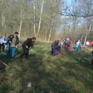 ��� ������� �������� �� ����������